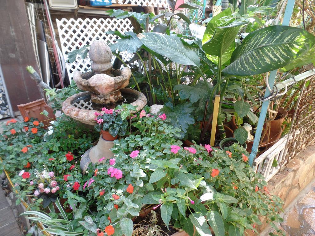 Cozy Garden Apartment Jerusalem Exterior photo