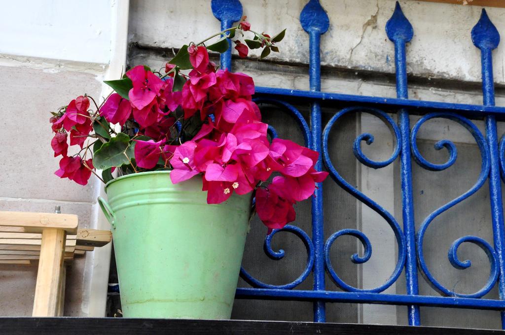 Cozy Garden Apartment Jerusalem Exterior photo