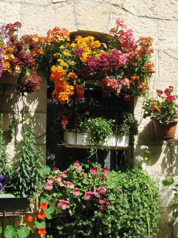 Cozy Garden Apartment Jerusalem Exterior photo