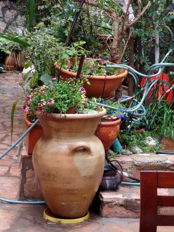 Cozy Garden Apartment Jerusalem Exterior photo