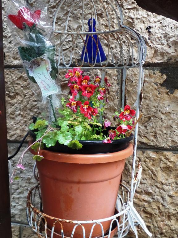 Cozy Garden Apartment Jerusalem Exterior photo