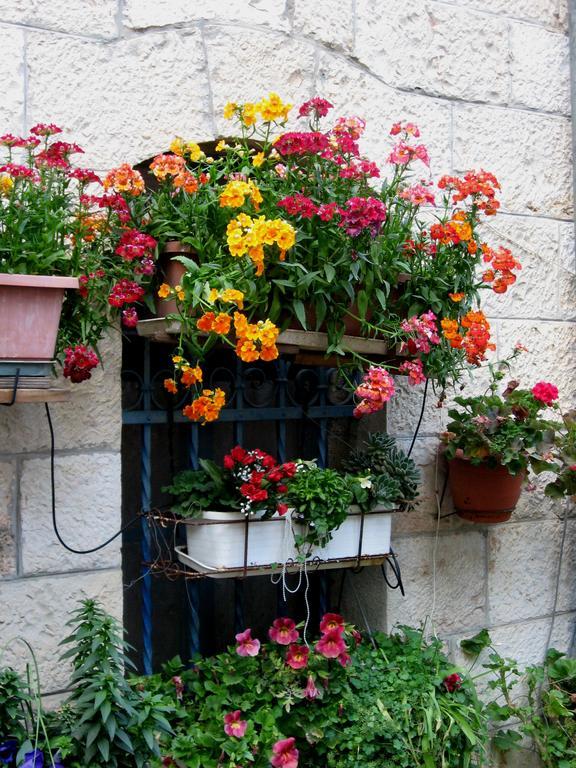 Cozy Garden Apartment Jerusalem Exterior photo
