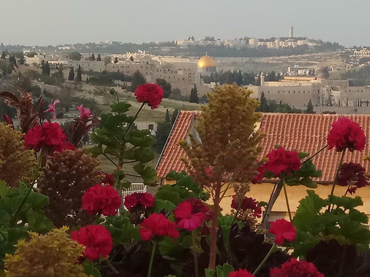 Cozy Garden Apartment Jerusalem Exterior photo